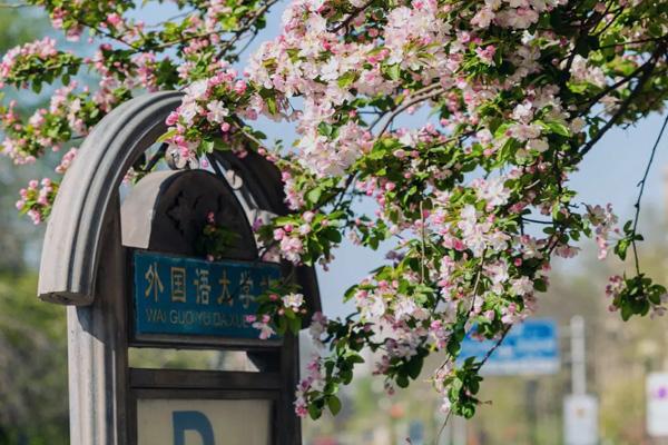 天津三四月份哪里可以看風(fēng)景 天津三四月份哪里可以看風(fēng)景