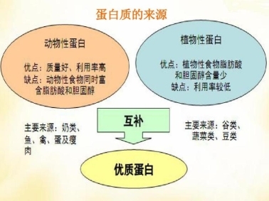 補充蛋白質(zhì)提高免疫力吃什么：科學合理攝入優(yōu)質(zhì)蛋白質(zhì)(圖3)