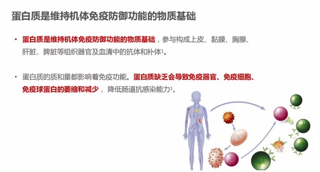 選購蛋白粉不再迷茫：蛋白粉哪個牌子好，一文告訴你補(bǔ)充蛋白質(zhì)提高免疫力吃什么(圖1)